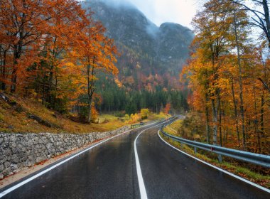 Altın sonbaharda güzel ormanda yol. Boş dağ yolu, yağmurda kırmızı ve turuncu yapraklı ağaçlar. Sonbaharda sisli ormanlarda ıslak yollarla dolu renkli bir manzara. Seyahat et. Yolculuk. Ulaşım