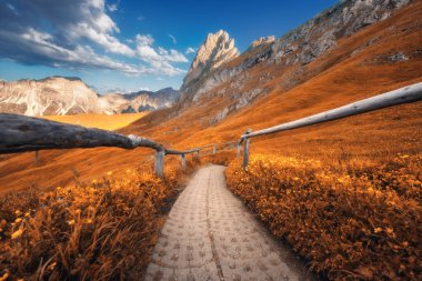 İtalya 'nın Dolomites şehrinde güzel bir sonbahar güneşli gününde Seceda Dağı' nda yol. Dağ zirveleri, dağ çayırları, patikalar, turuncu çimenler, sarı çiçekler, sonbaharda mavi gökyüzü. Alplerde yürüyüş