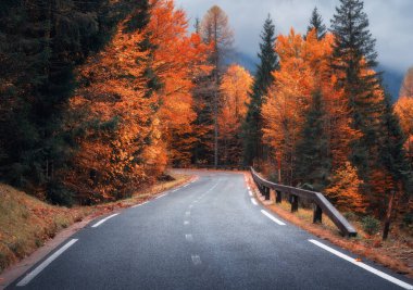 Altın sonbaharda güzel ormanda yol. Boş dağ yolu, yağmurda kırmızı ve turuncu yapraklı ağaçlar. Sonbahar mevsiminde ıslak yollarla dolu renkli bir manzara. Seyahat et. Yolculuk. Ulaşım
