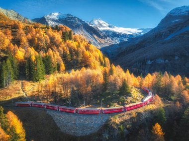 Bernina ekspres treni güneşli bir sonbahar gününde İsviçre Alpleri boyunca hareket ediyor. Kızıl tren, turuncu orman, sonbaharda gün batımında karlı dağlar. Tren manzarası, dağ geçidi. Demiryolu.