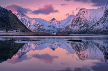 Norveç 'in Lofoten adalarındaki bir fiyordun sakin sularını yansıtan karlı dağları ve evleri aydınlatan güzel pembe günbatımı. Denizli kış manzarası, bulutlu pembe gökyüzü, rorbu, kardaki kayalar.