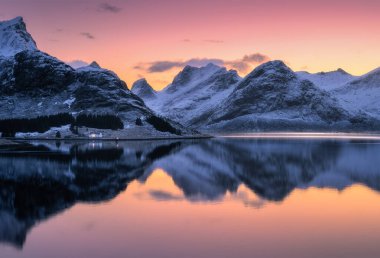 Pembe ve turuncu günbatımı gökyüzü karlı dağların üzerinde sakin bir göle yansıyor. Lofoten Adaları, Norveç. Fiyortlu, denizli kış manzarası, renkli gökyüzü, rorbu, kardaki kayalar, suda yansıma. Doğa