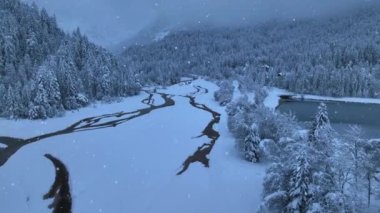 Kışın alacakaranlıkta sisli ve ormanlı Alp Dağı vadisindeki nehir manzarası. Güzel karlı ormanlar, buhar, alacakaranlıkta çam ağaçları. Triglav, Slovenya 'da Seyahat