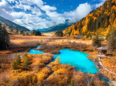 Gök mavisi gölü, portakal ormanı ve sonbaharda günbatımında çimen manzarası. Zelenci Gölü, Slovenya, Triglav Ulusal Parkı. Güzel göl manzarası, dağlar, ağaçlar, sonbaharda bulutlu gökyüzü. Peyzaj