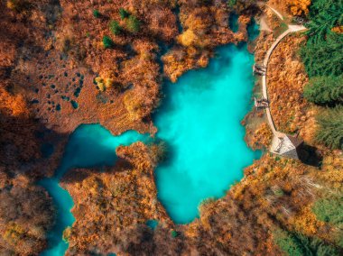 Gök mavisi gölü, portakal ormanı ve sonbaharda günbatımında çimen manzarası. Zelenci Gölü, Slovenya, Triglav Ulusal Parkı. Güzel göl manzarası, ağaçlar, patika, sonbaharda. Renkli manzara