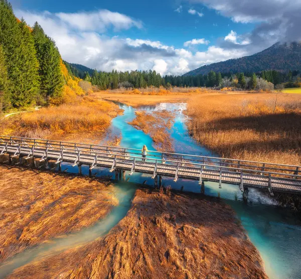 Tahta köprü, gök mavisi nehir ve turuncu çimlerin üzerinde altın sonbaharda gün batımında kadın manzarası. Zelenci Gölü, Slovenya, Triglav Parkı sonbaharda. Köprünün, kızın, dağların, suyun, ağaçların en üst drone görüntüsü