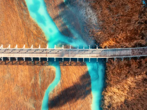 Tahta köprü, gök mavisi nehir ve altın sonbaharda günbatımında turuncu çimlerin havadan görünüşü. Zelenci Gölü, Slovenya, Triglav Ulusal Parkı sonbaharda. Köprü manzarası, yeşil su. Doğa. Peyzaj