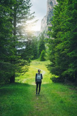 Sırt çantalı genç bir bayan yürüyüşçü, İtalya 'nın Dolomitler dağlarındaki yeşil bir ormanda yürüyor. Güneş ışığının ve doğanın temiz havasının tadını çıkarıyor.