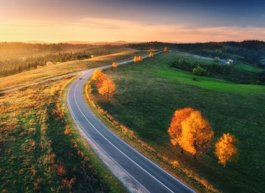 Sonbaharda günbatımında yol manzarası, tepeler, yeşil çayırlar ve renkli ağaçlar. Dağlık kırsal yolun en üst manzarası. Yollu güzel manzara, yeşil çimenler, sonbaharda portakal yapraklı ağaçlar.