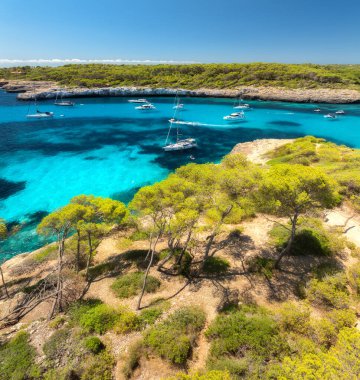 Kayalık kıyı şeridi ve çam ağaçları ile çevrili turkuaz deniz koyuna demirlemiş yatların hava manzarası, Cala Mondrago, Mallorca, Balearic Adaları, İspanya yakınlarındaki yaz tatili manzarası. Teknelerin en üst drone görünümü