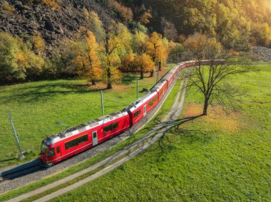 Alp dağlarındaki modern kırmızı trenin havadan görünüşü, yeşil çayırlar, sonbaharda günbatımında portakal ağaçları. Bernina Express, İsviçre. Alplerdeki tren manzarası, sonbaharda demiryolu. Buzul Ekspresi