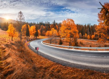 Günbatımında sonbahar ormanında güzel kıvrımlı bir yol. Boş dağ yolu, Ukrayna 'da kırmızı ve turuncu yapraklı ağaçlar. Sonbaharda ormanda dolambaçlı yollar olan renkli bir manzara. Seyahat et. Yolculuk