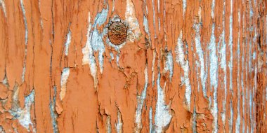 Ahşap doku. Kabuğu soyulmuş tahta. Soyut doku. Bölgeye yerleştirme pankartı. Yatay resim.