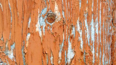 Ahşap doku. Kabuğu soyulmuş tahta. Soyut doku. Bölgeye yerleştirme pankartı. Yatay resim.
