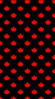 Siyah arka planda kırmızı akçaağaç yapraklarının kusursuz deseni. Yüzeye uygulama şablonu. Dikey resim.