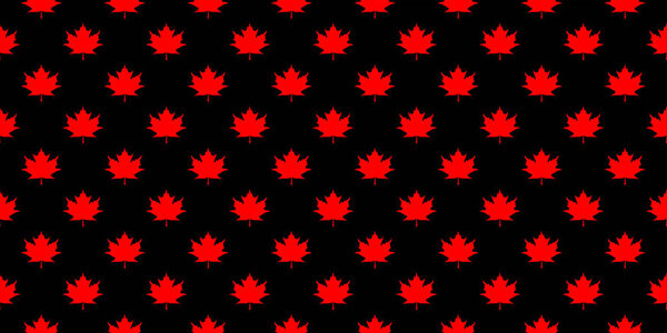 seamless pattern of red maple leaves on a black background. template for application to the surface. Horizontal image. Banner for insertion into site.