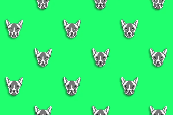 Patroon Met Het Beeld Van Een Hond Groene Achtergrond Horizontaal — Stockfoto