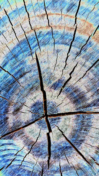 古い乾いた木のカットの質感 抽象的なテクスチャ 垂直画像 — ストック写真
