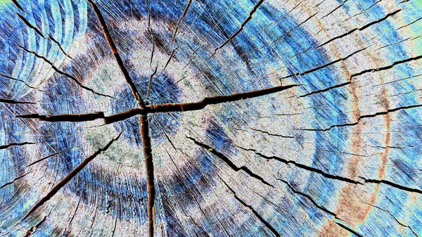 古い乾いた木のカットの質感 抽象的なテクスチャ 水平像 — ストック写真