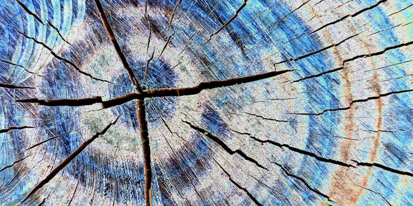Eski Kuru Bir Ağacın Dokusu Soyut Doku Yatay Resim — Stok fotoğraf