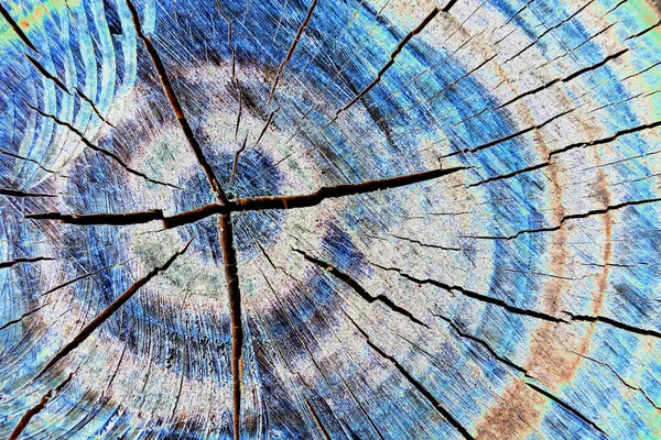 古い乾いた木のカットの質感 抽象的なテクスチャ 水平像 — ストック写真