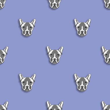 Kusursuz desenli bir köpek resmi. Pastel mavi arka plan. Kare resim.