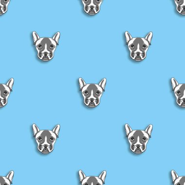 Kusursuz desenli bir köpek resmi. Pastel mavi arka plan. Kare resim.