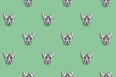 Kusursuz desenli bir köpek resmi. Pastel yeşil arka plan. Yatay resim.