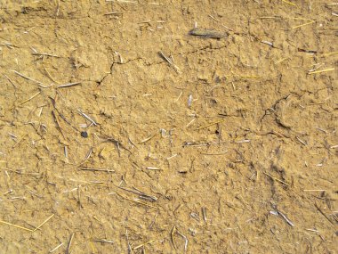 An image of the texture of a clay wall. Rough, relief surface. Small cracks and scattered stones. Template for interior design, websites or promotional materials. Horizontal image.