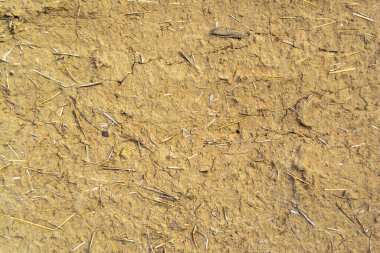An image of the texture of a clay wall. Rough, relief surface. Small cracks and scattered stones. Template for interior design, websites or promotional materials. Horizontal image.