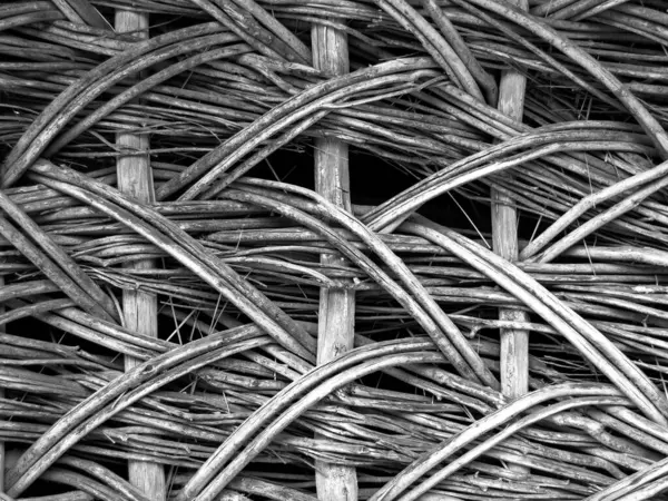 Soyut asma dokusu. İnce sarmaşık çubuklarının birbirine dokumasıyla oluşan doku. İç tasarım, web siteleri veya tanıtım materyalleri için şablon. Yatay görüntü. siyah ve beyaz