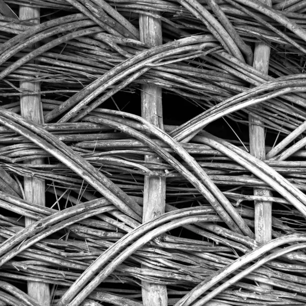 Soyut asma dokusu. İnce sarmaşık çubuklarının birbirine dokumasıyla oluşan doku. İç tasarım, web siteleri veya tanıtım materyalleri için şablon. Kare görüntü. siyah ve beyaz