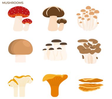 Illustration of mushroom and fungi modern icon concept ui ux icon for website, app, presentaion, flyer, brochure etc. clipart