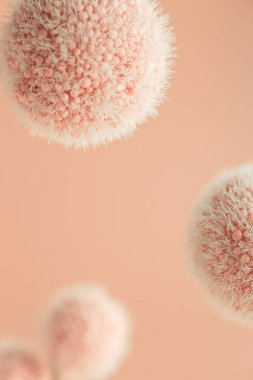 Peach Fuzz ile renklendirilmiş tüylü topların havada uçuşan makro görüntüsü - 2024 yılının rengi.