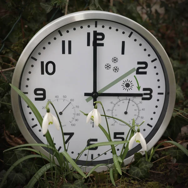 A clock in snowdrops, the gray green hand points to two o\'clock, the black one to three o\'clock. The green arrow indicates the direction of movement of the hands. Time change to daylight saving time. Moving the hands forward.