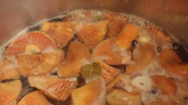 Yenilebilir mantar safran süt kapağı tencerede kaynıyor. Yakın çekim video. Laurel yaprağı, sarımsak, biber. Tuzlu mantar. Mantarların korunması. Mantar çorbası..
