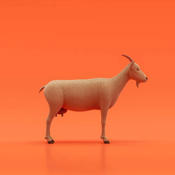 Goat doll, stuffed animal made of fabric single animal from side view, profile, brown monochrome animal in an orange studio, 3d rendering, nobody