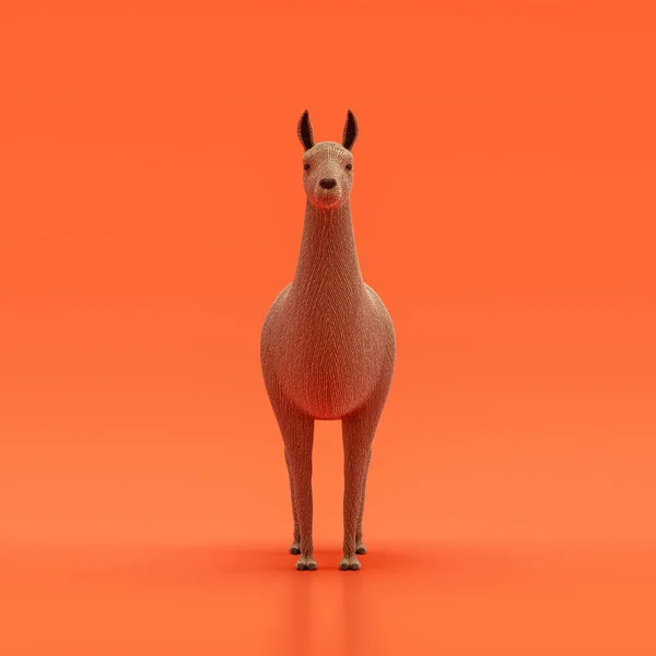 Llama doll, stuffed animal toy made of cloth, single animal from front view, handmade animal, 3d rendering, nobody
