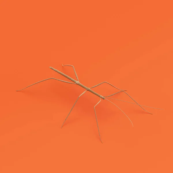 Stick insect doll, stuffed insect made of cloth, single varmint from isometric view, handmade bug, 3d rendering, nobody