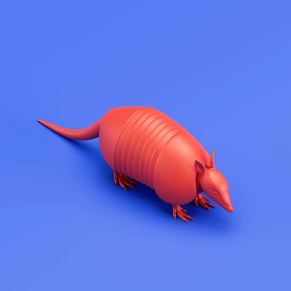 Armadillo monochrome single color animal. Red color single animal from isometric view, Monochrome animal in blue studio, 3d rendering, nobody