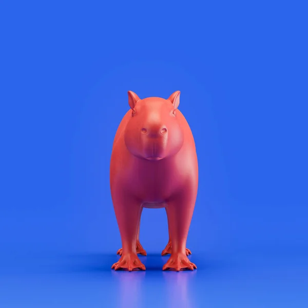 Capybara monochrome single color animal. Red color single animal from front view, Monochrome animal in blue studio, 3d rendering, nobody