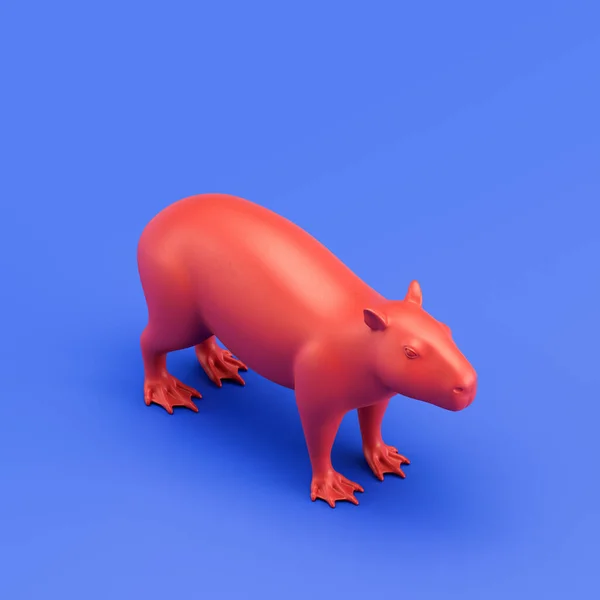 Capybara monochrome single color animal. Red color single animal from isometric view, Monochrome animal in blue studio, 3d rendering, nobody