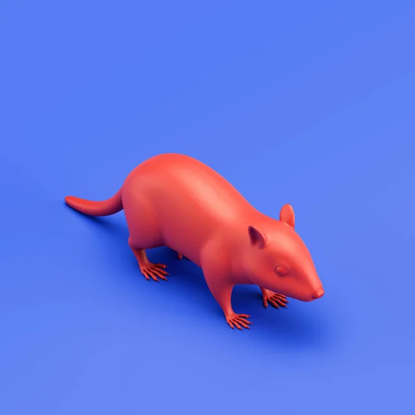 Chipmunk monochrome single color animal. Red color single animal from isometric view, Monochrome animal in blue studio, 3d rendering, nobody