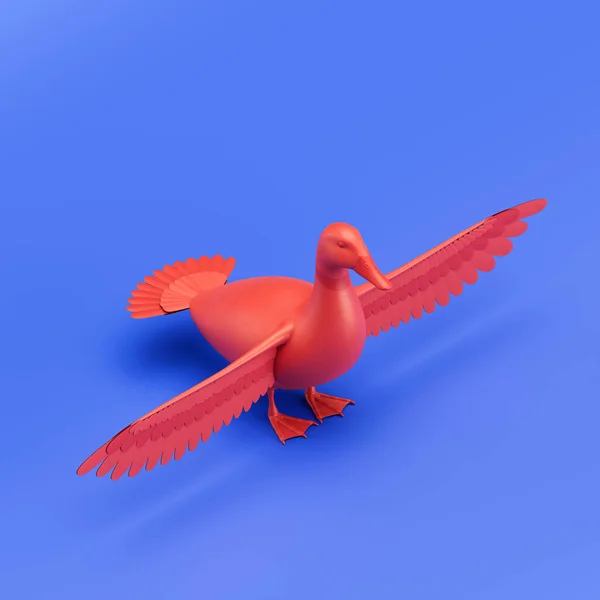 Duck monochrome single color animal. Red color single animal from isometric view, Monochrome animal in blue studio, 3d rendering, nobody