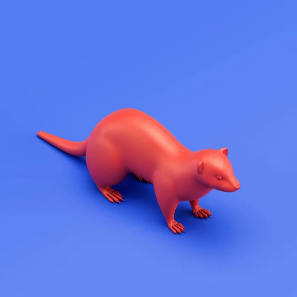 Ferret monochrome single color animal. Red color single animal from isometric view, Monochrome animal in blue studio, 3d rendering, nobody