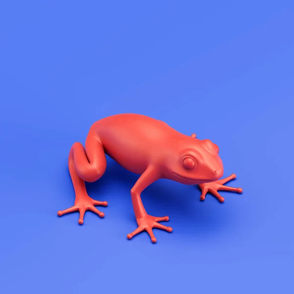 Frog monochrome single color animal. Red color single animal from isometric view, Monochrome animal in blue studio, 3d rendering, nobody