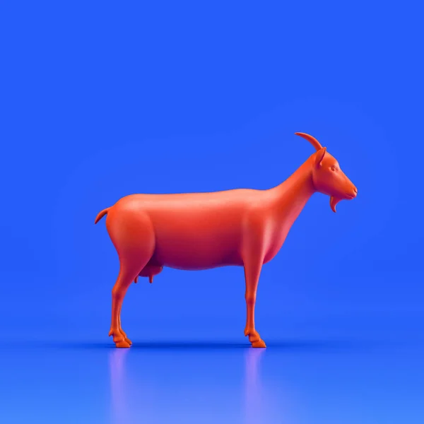 Goat monochrome single color animal. Red color single animal from side view, profile, Monochrome animal in blue studio, 3d rendering, nobody