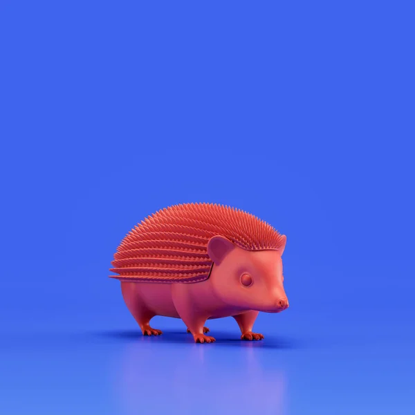 Hedgehog monochrome single color animal. Red color single animal from angle view, Monochrome animal in blue studio, 3d rendering, nobody