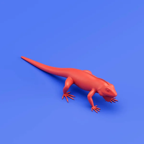 Iguana monochrome single color animal. Red color single animal from isometric view, Monochrome animal in blue studio, 3d rendering, nobody