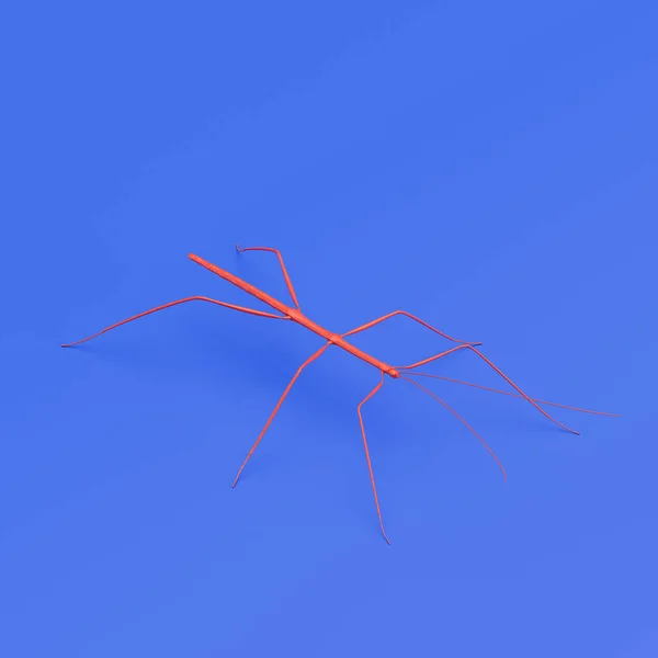 Stick insect monochrome single color insect made of red plastic, single varmint from isometric view, bug, 3d rendering, nobody